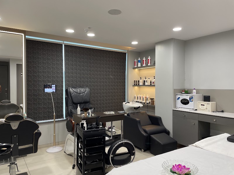 SINH Salon